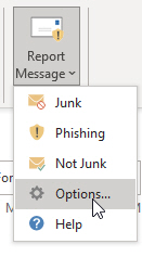 Report_Message_Options.jpg