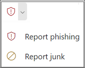 Report_Message_OWA.jpg