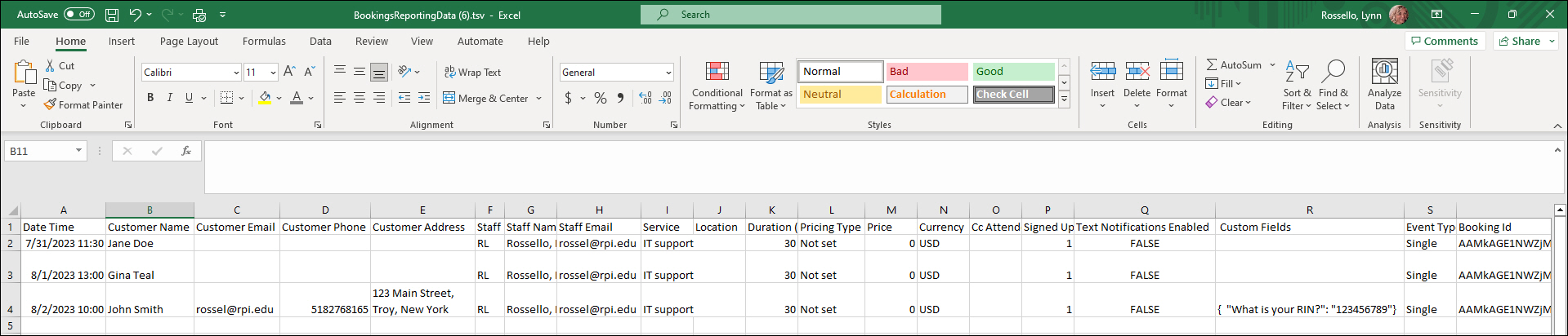 Excel Report Screen.jpg