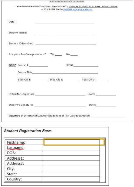 PDF fillable forms_example.jpg