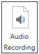 Audio Recording button.jpg