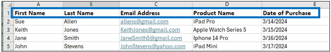 Excel Headers highlighted.jpg