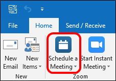 Schedule a Meeting button