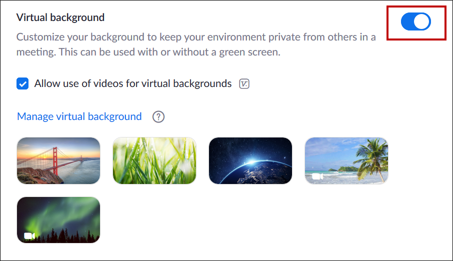 virtual background toggle button.png