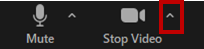 stop video caret button.png