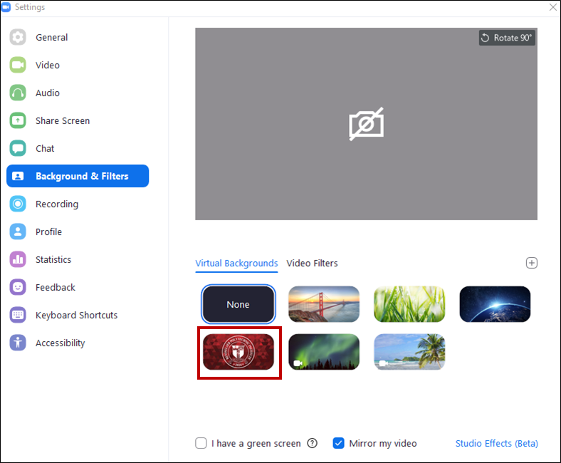 virtual background image options.png