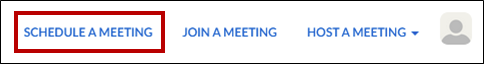 schedule a meeting button
